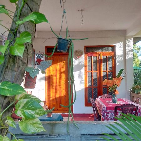 Nelum Home Stay 시기리야 외부 사진