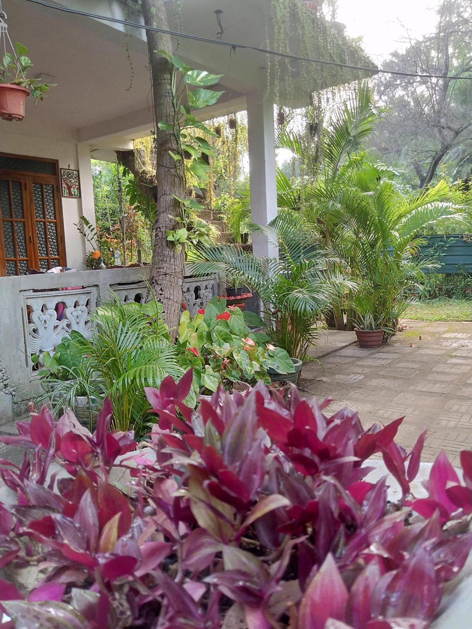 Nelum Home Stay 시기리야 외부 사진