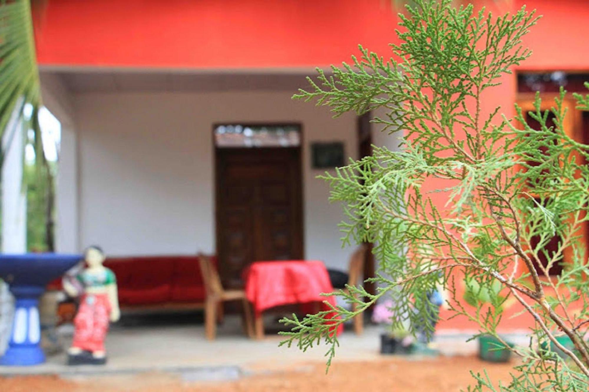 Nelum Home Stay 시기리야 외부 사진